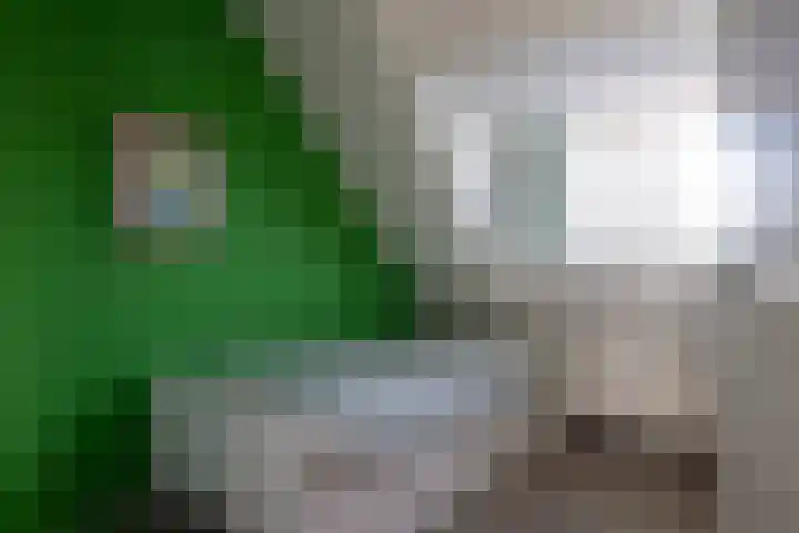 Molenlaan 94 Rotterdam thumbnail 33