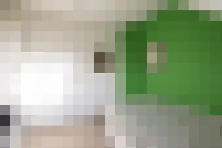 Molenlaan 94 Rotterdam thumbnail 34