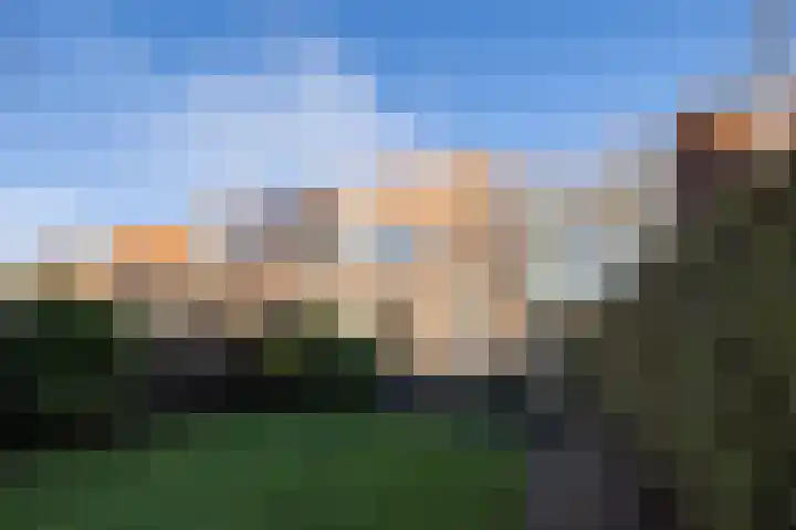 Molenlaan 94 Rotterdam thumbnail 36