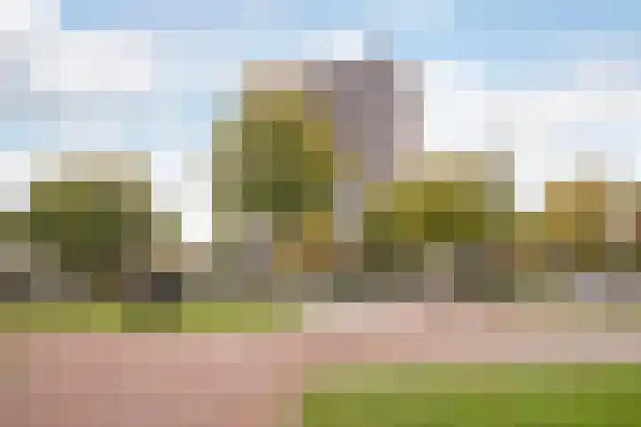 Molenlaan 94 Rotterdam thumbnail 38
