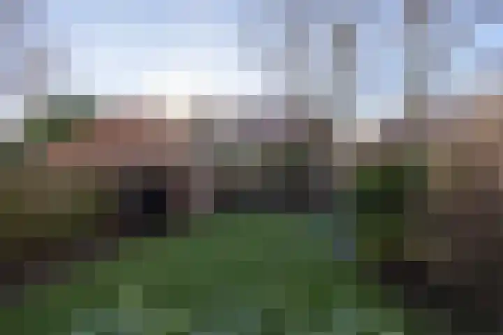 Molenlaan 94 Rotterdam thumbnail 39