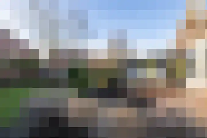 Molenlaan 94 Rotterdam thumbnail 4