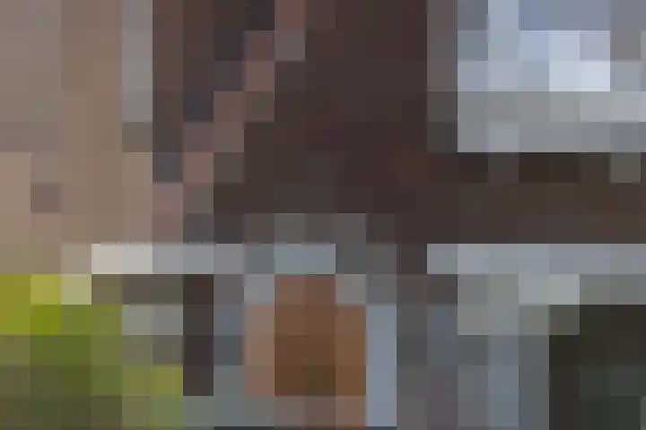 Molenlaan 94 Rotterdam thumbnail 5