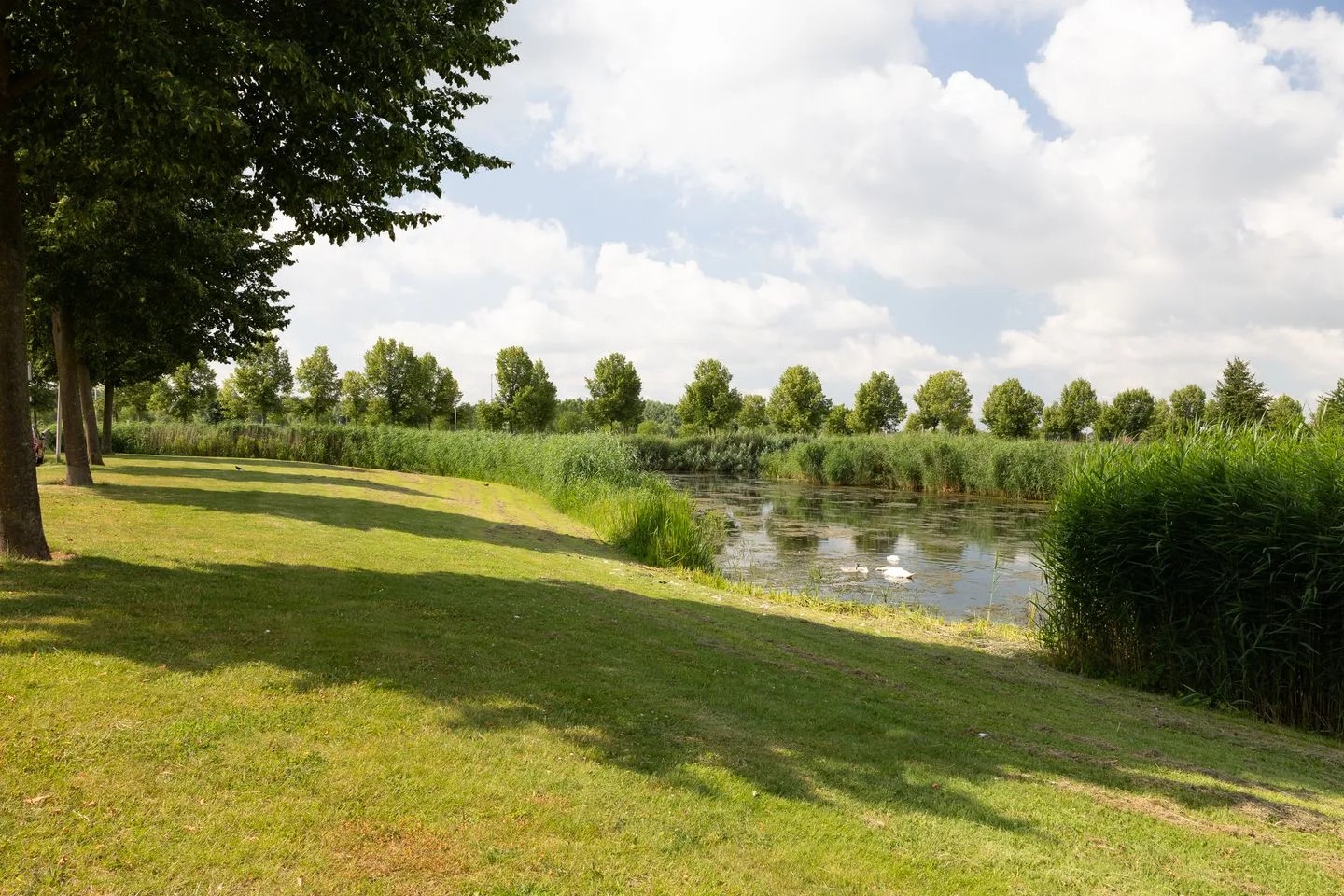 Molenleede 21 Barendrecht thumbnail 54