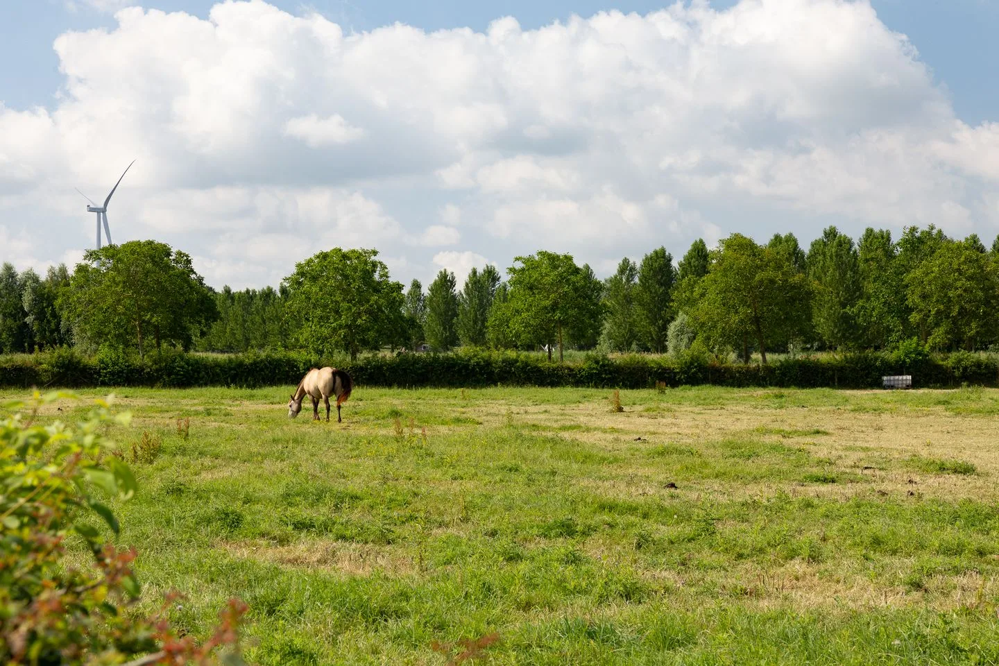 Molenleede 21 Barendrecht thumbnail 57