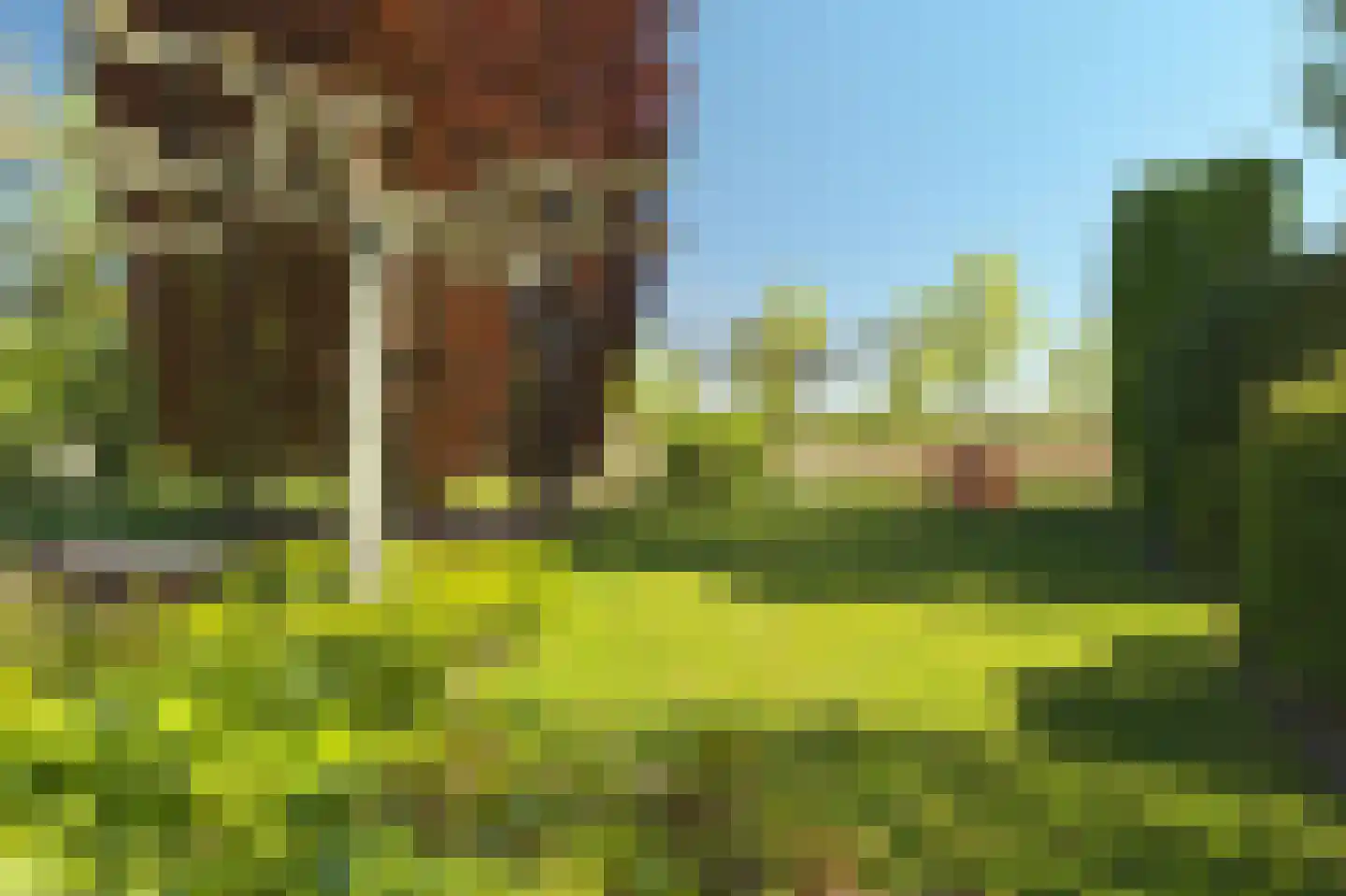 Molenleede 26 Barendrecht thumbnail 45