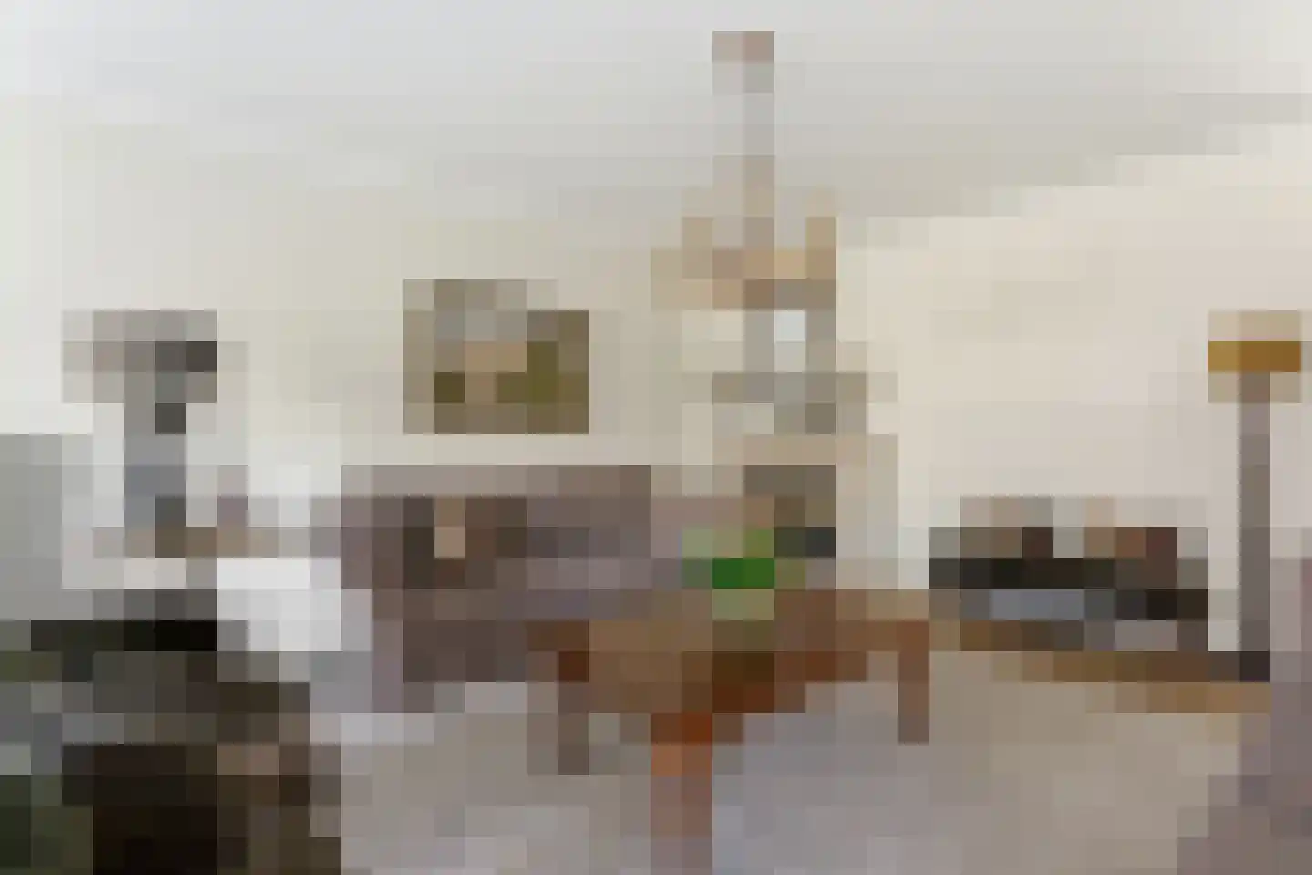Molenleede 31 Barendrecht thumbnail 4