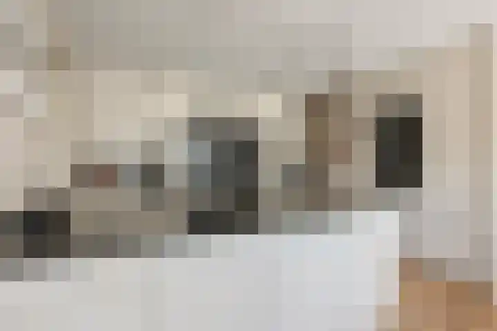 Molenleede 5 Barendrecht thumbnail 15
