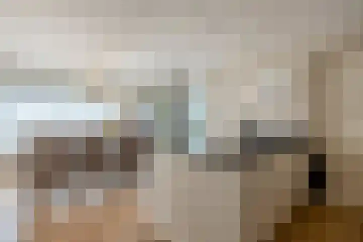 Molenleede 5 Barendrecht thumbnail 19