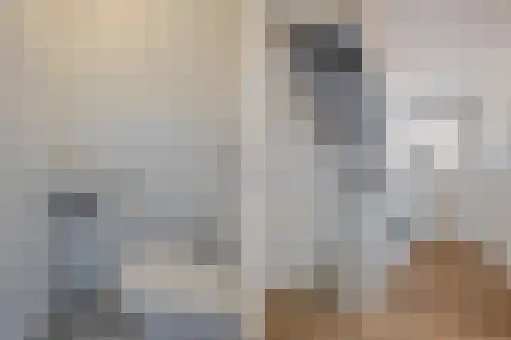 Molenleede 5 Barendrecht thumbnail 22
