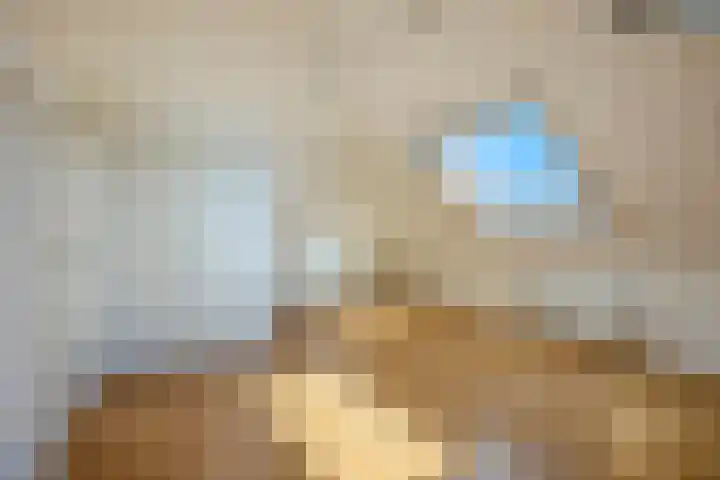 Molenleede 5 Barendrecht thumbnail 34