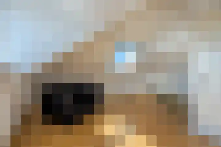 Molenleede 5 Barendrecht thumbnail 36