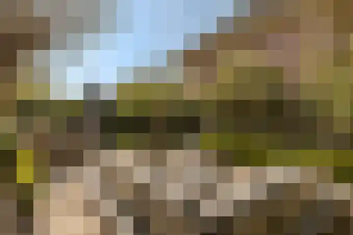 Molenleede 5 Barendrecht thumbnail 39