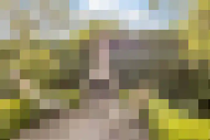 Molenleede 5 Barendrecht thumbnail 41