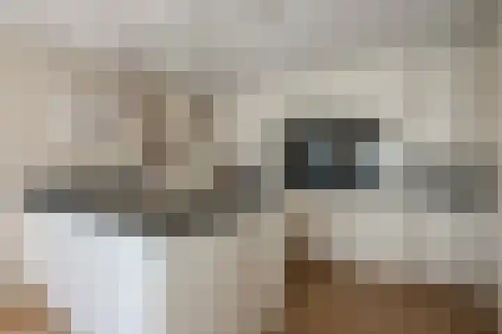 Molenleede 5 Barendrecht thumbnail 5