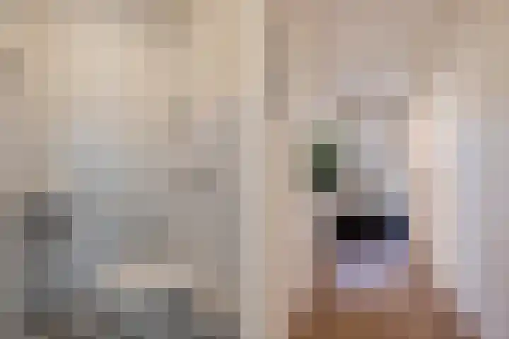 Molenleede 5 Barendrecht thumbnail 7