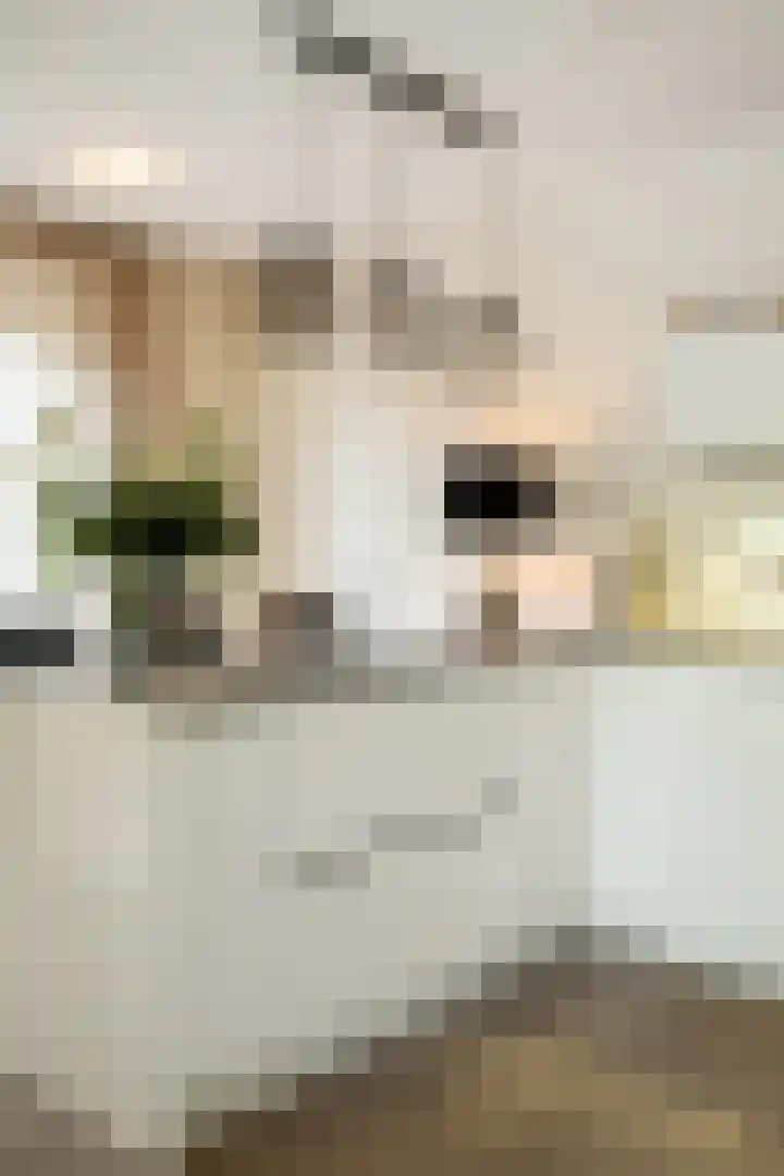 Molenleij 3 Dorst thumbnail 15