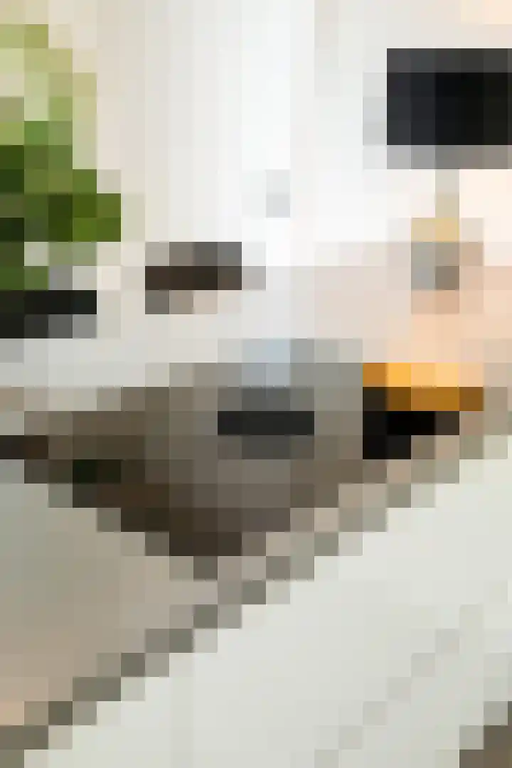 Molenleij 3 Dorst thumbnail 16