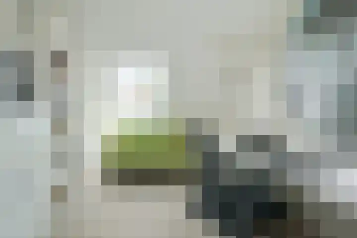 Molenleij 3 Dorst thumbnail 18