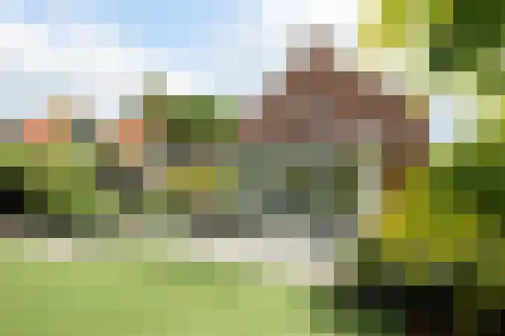 Molenleij 3 Dorst thumbnail 24