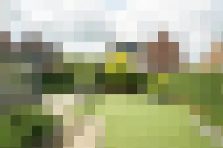 Molenleij 3 Dorst thumbnail 26