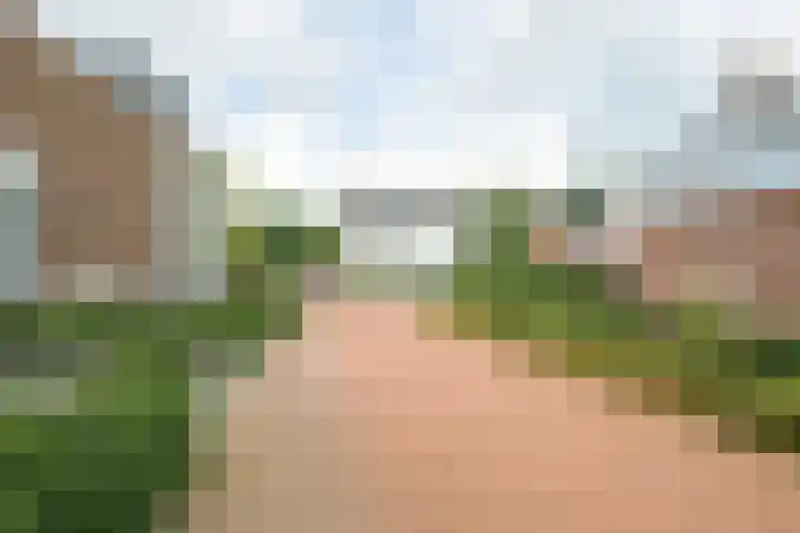 Molenleij 3 Dorst thumbnail 32