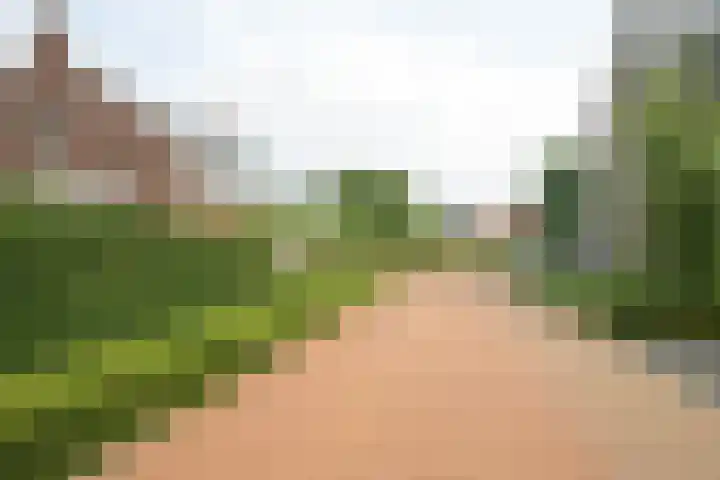 Molenleij 3 Dorst thumbnail 33