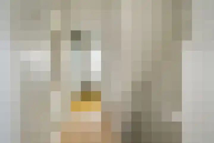 Molenleystraat 3 Breda thumbnail 31