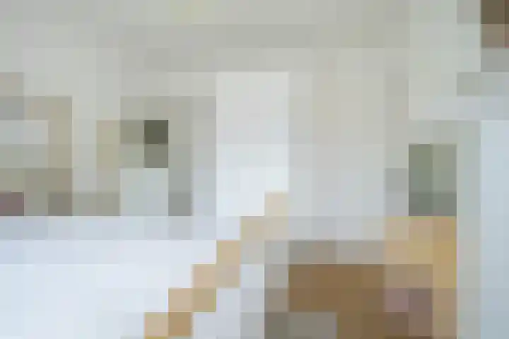 Molenleystraat 3 Breda thumbnail 33