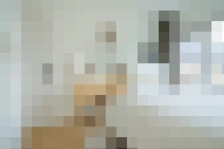 Molenleystraat 3 Breda thumbnail 34
