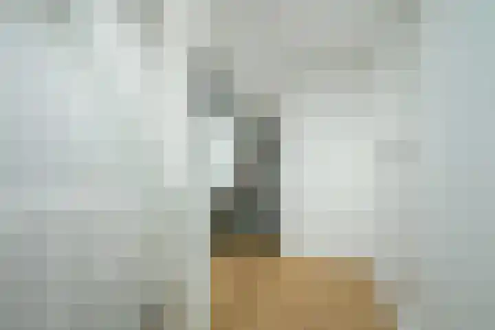 Molenleystraat 3 Breda thumbnail 47