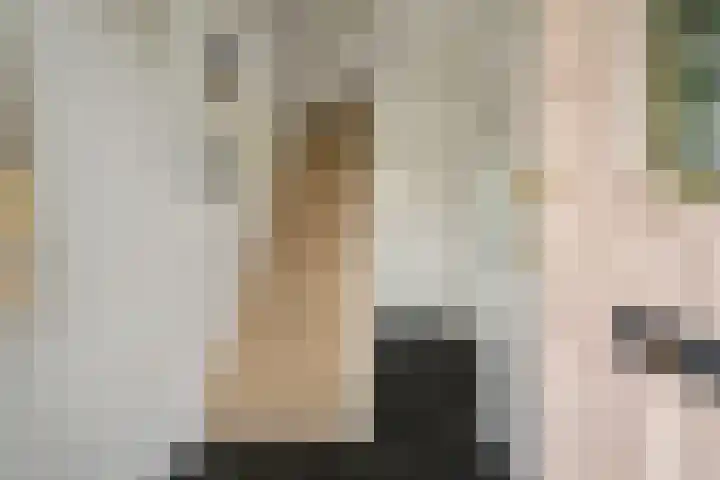 Molenleystraat 3 Breda thumbnail 8