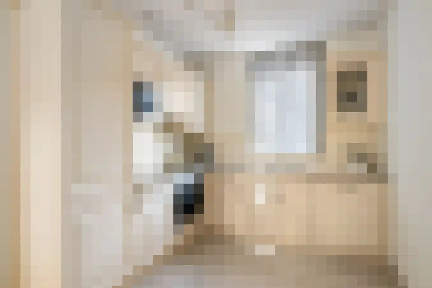 Molenmaker 2 Zevenhuizen thumbnail 14