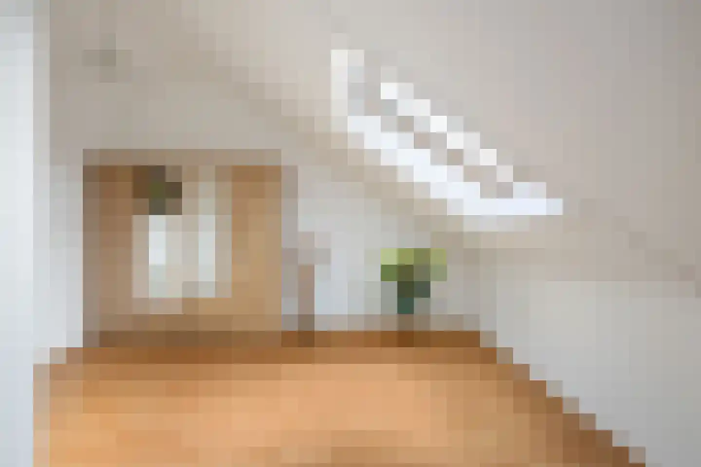 Molenmaker 2 Zevenhuizen thumbnail 23