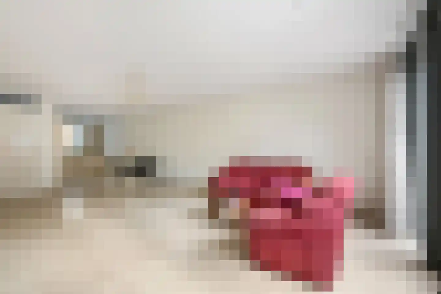 Molenmaker 2 Zevenhuizen thumbnail 8