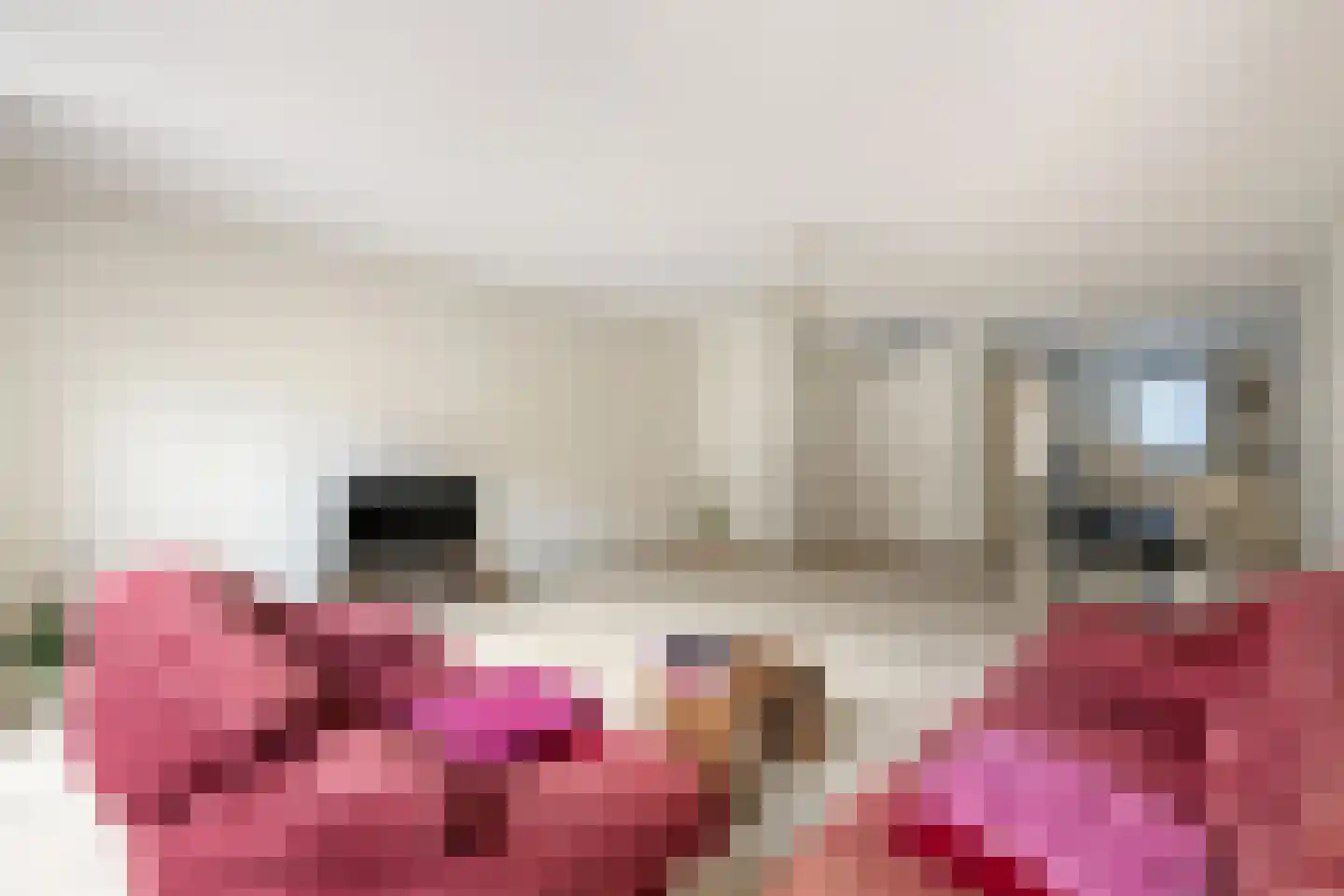 Molenmaker 2 Zevenhuizen thumbnail 9