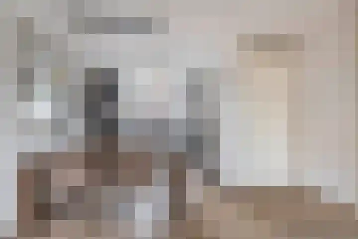 Molenmaker 28 Zevenhuizen thumbnail 10