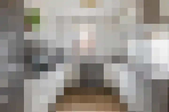Molenmaker 28 Zevenhuizen thumbnail 12