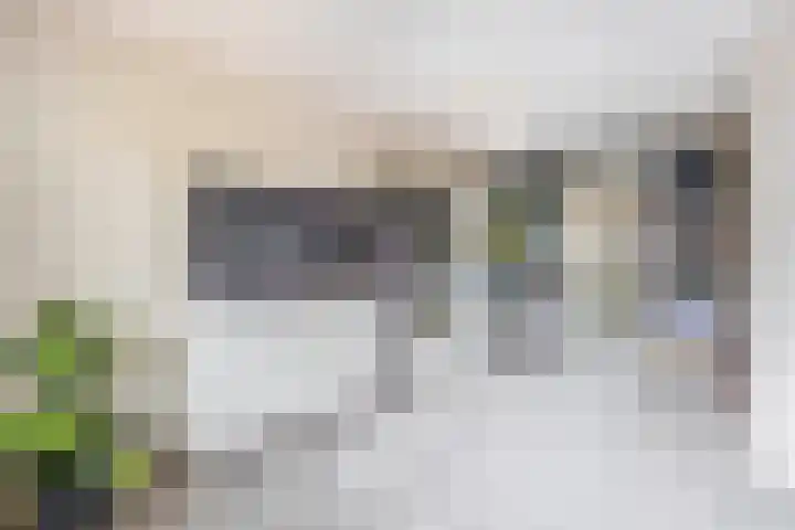 Molenmaker 28 Zevenhuizen thumbnail 15