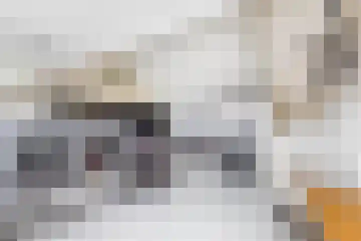 Molenmaker 28 Zevenhuizen thumbnail 21
