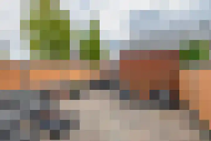 Molenmaker 28 Zevenhuizen thumbnail 25