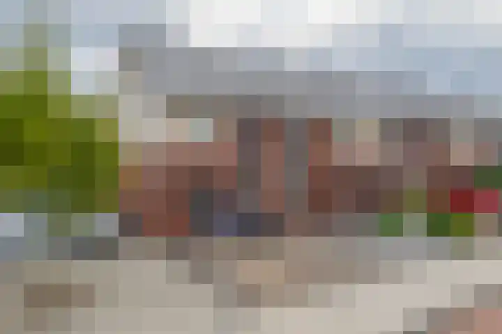 Molenmaker 28 Zevenhuizen thumbnail 26