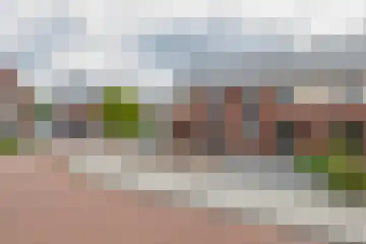 Molenmaker 28 Zevenhuizen thumbnail 27