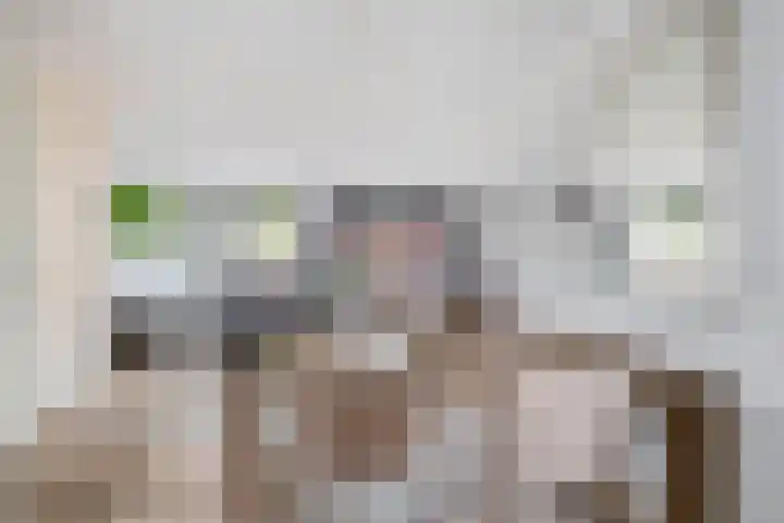 Molenmaker 28 Zevenhuizen thumbnail 8