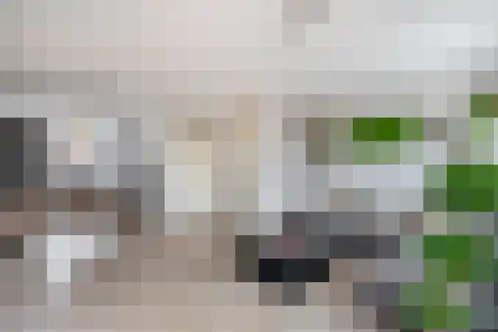 Molenmaker 28 Zevenhuizen thumbnail 9