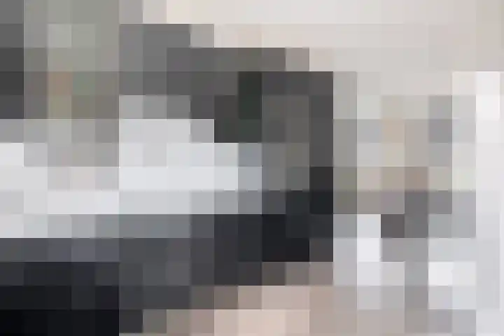 Molenmaker 31 Zevenhuizen thumbnail 12