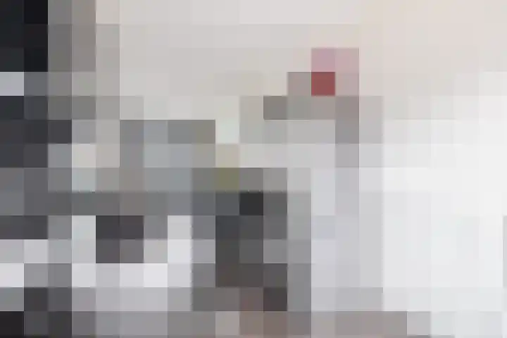 Molenmaker 31 Zevenhuizen thumbnail 13