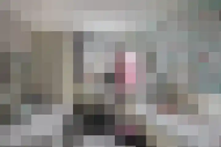 Molenmaker 31 Zevenhuizen thumbnail 17