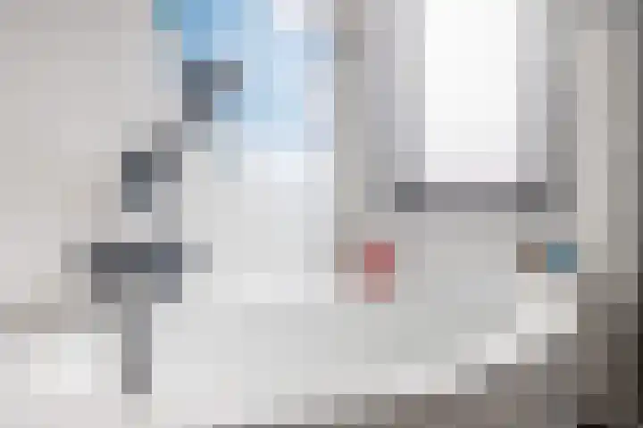 Molenmaker 31 Zevenhuizen thumbnail 20