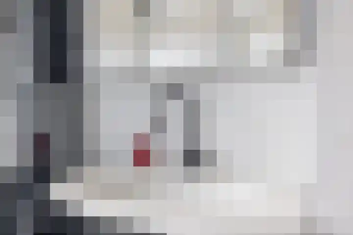 Molenmaker 31 Zevenhuizen thumbnail 21